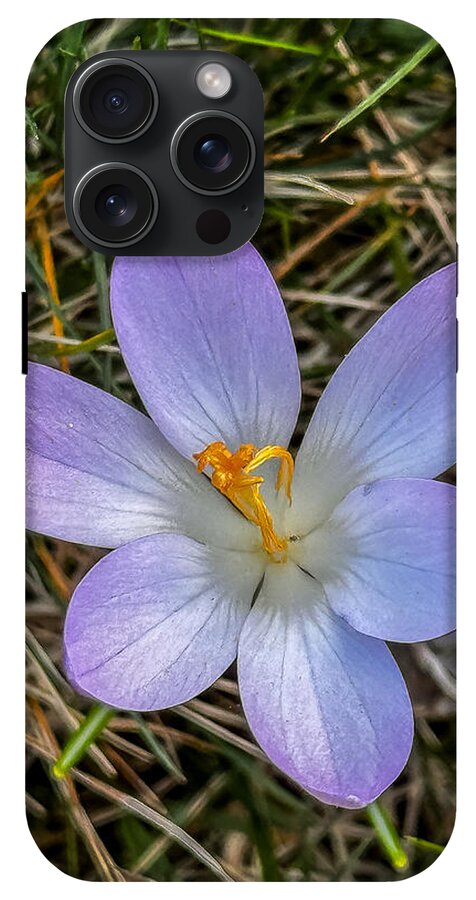 Daisy - Phone Case
