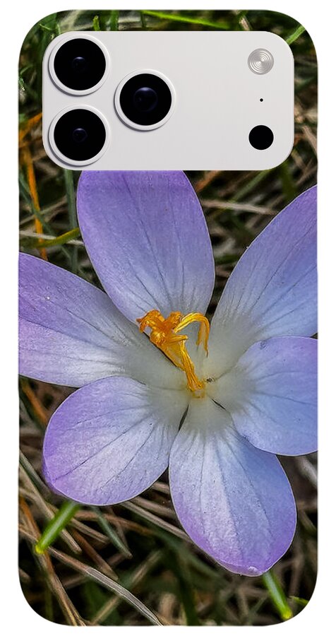 Daisy - Phone Case