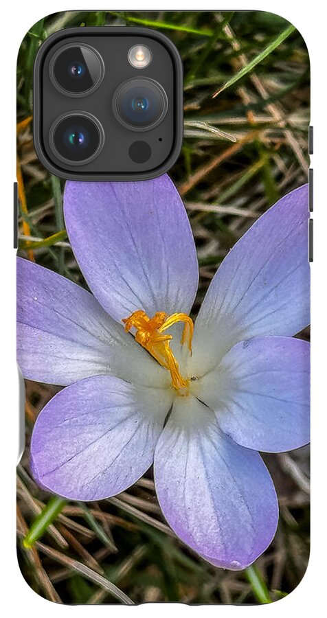 Daisy - Phone Case