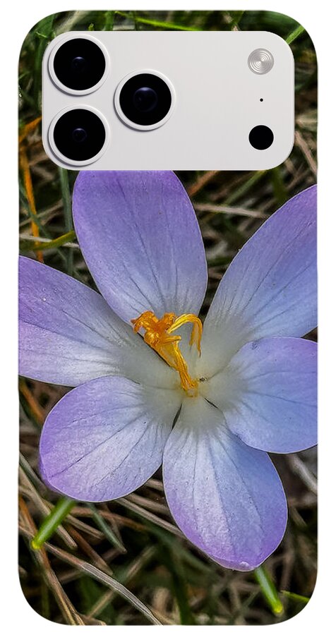 Daisy - Phone Case