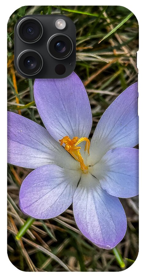 Daisy - Phone Case