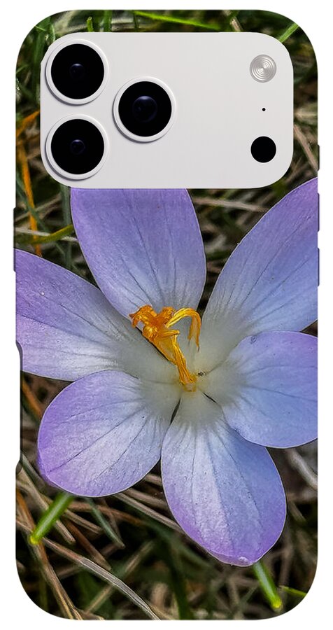 Daisy - Phone Case