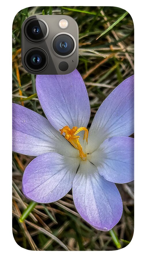 Daisy - Phone Case