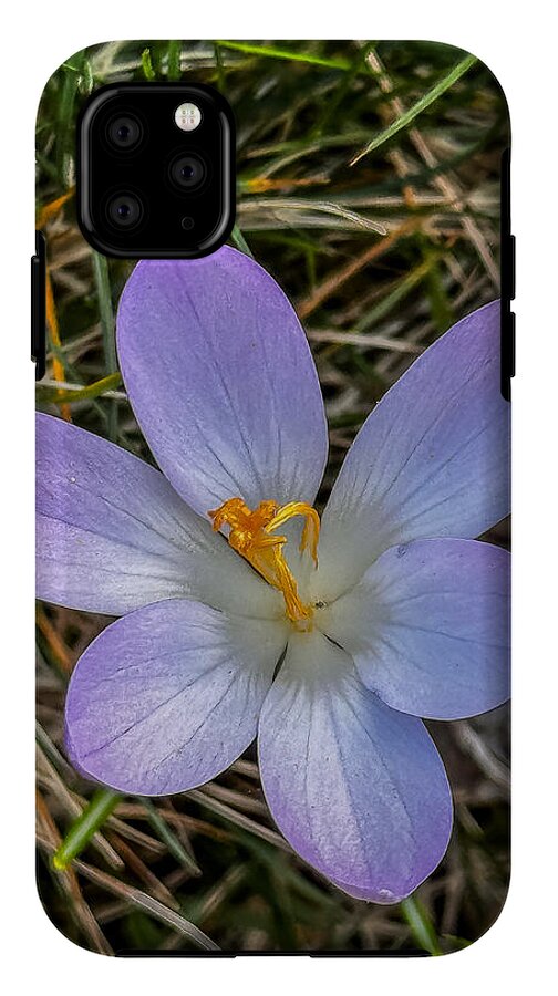 Daisy - Phone Case