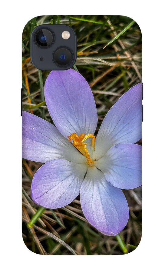 Daisy - Phone Case