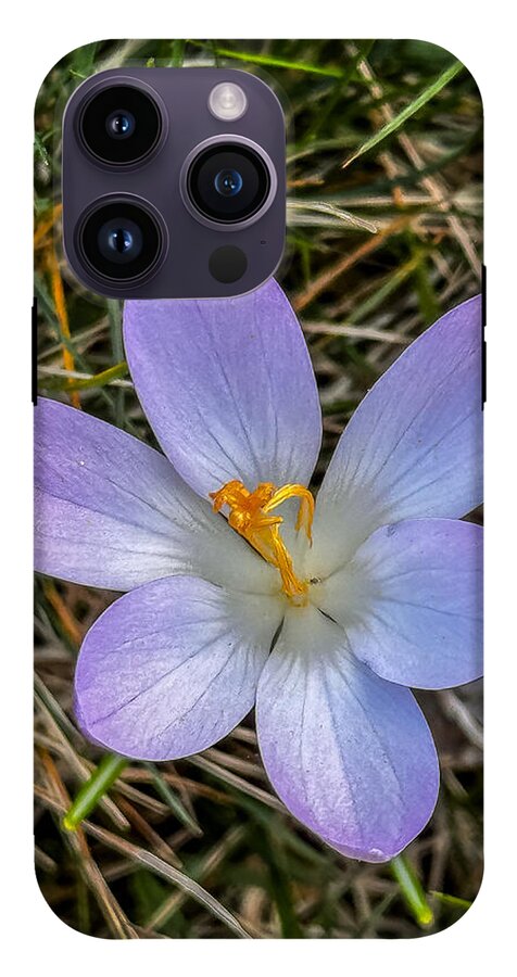Daisy - Phone Case