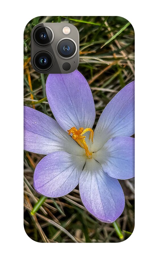 Daisy - Phone Case