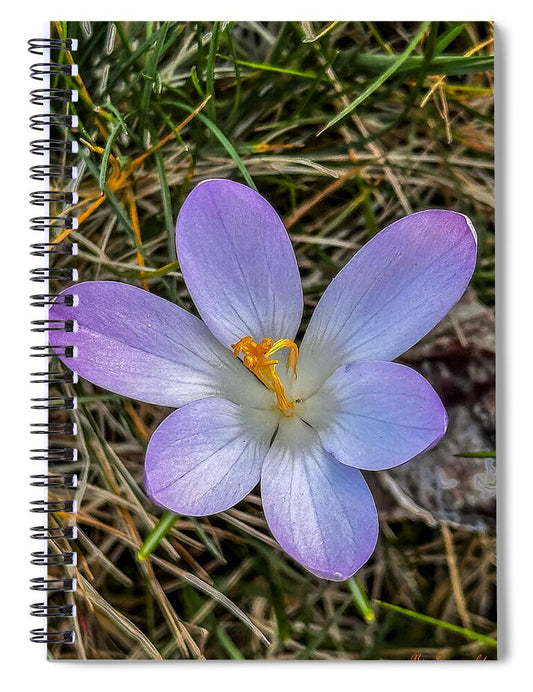 Daisy - Spiral Notebook