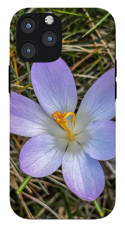 Daisy - Phone Case