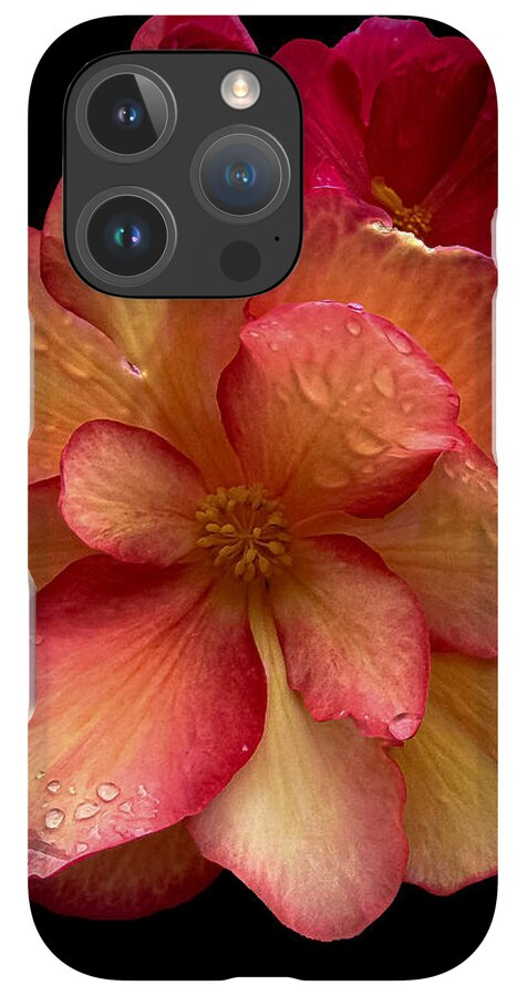 Dew-Kissed Blossoms on Black Background - Phone Case