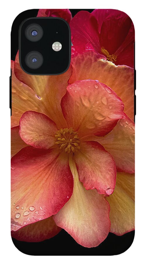 Dew-Kissed Blossoms on Black Background - Phone Case