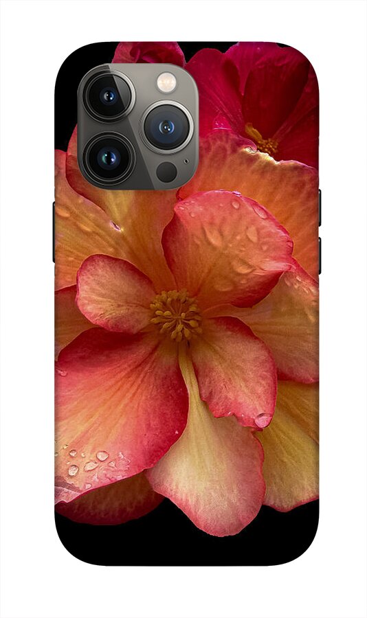 Dew-Kissed Blossoms on Black Background - Phone Case