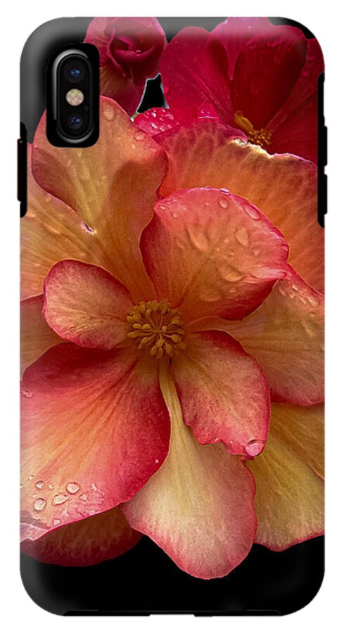 Dew-Kissed Blossoms on Black Background - Phone Case