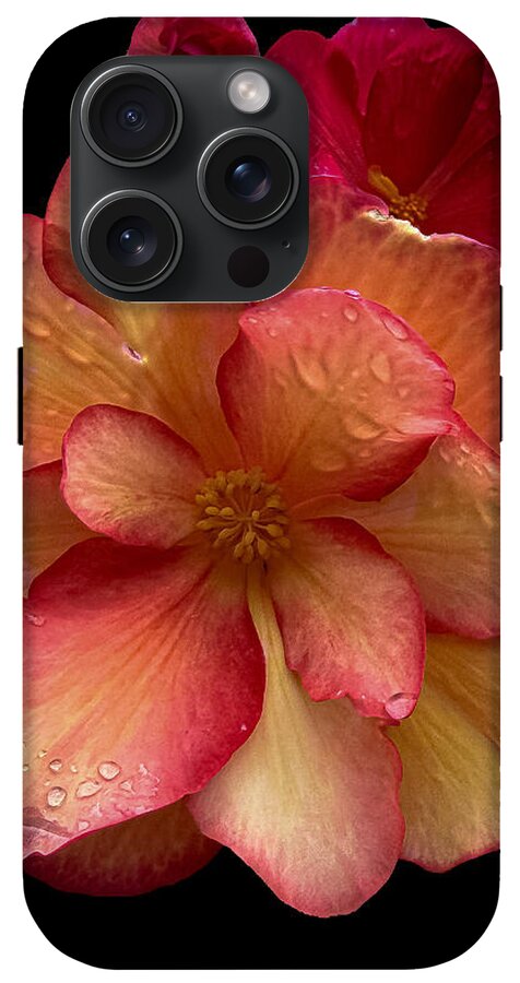 Dew-Kissed Blossoms on Black Background - Phone Case