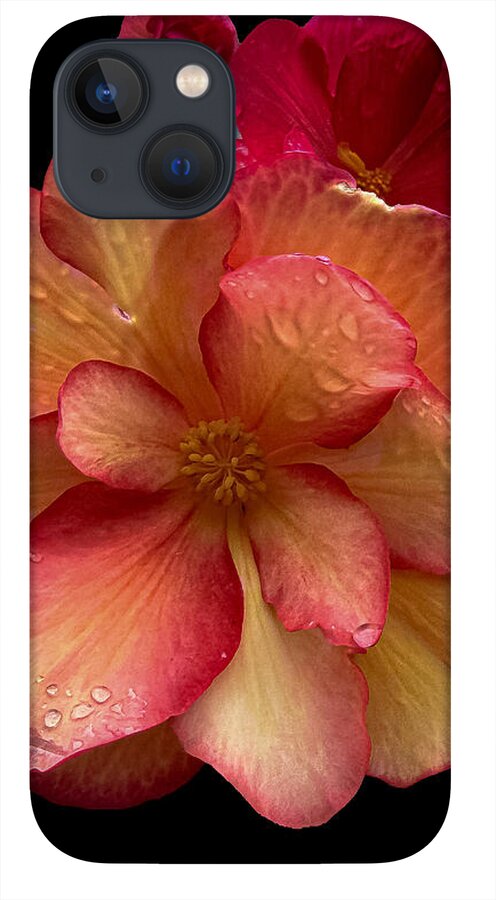 Dew-Kissed Blossoms on Black Background - Phone Case