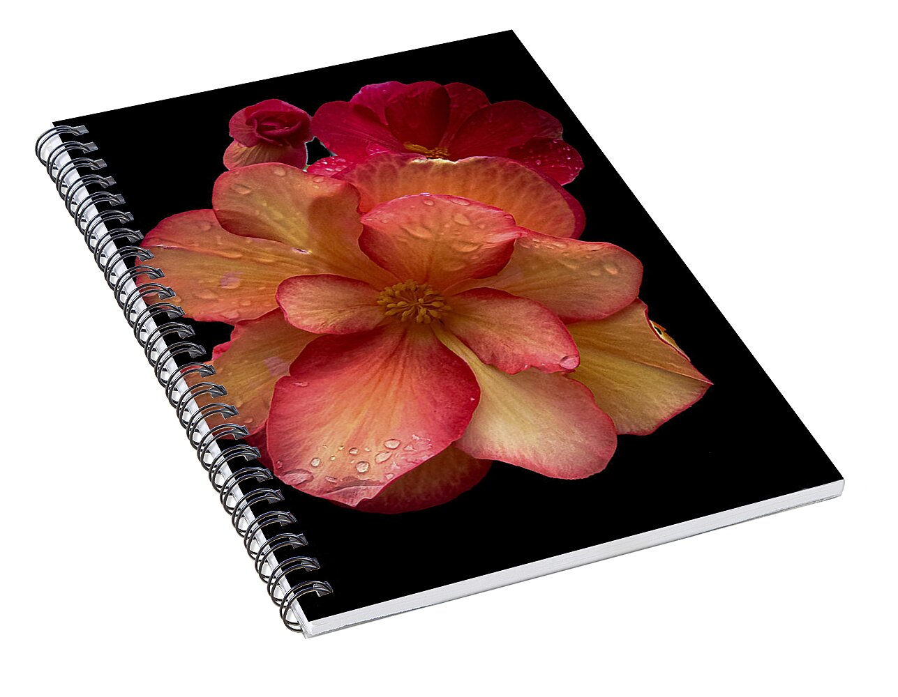Dew-Kissed Blossoms on Black Background - Spiral Notebook