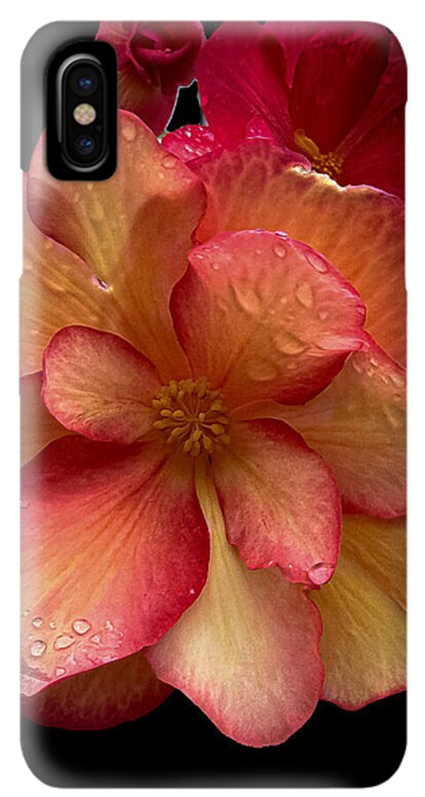 Dew-Kissed Blossoms on Black Background - Phone Case