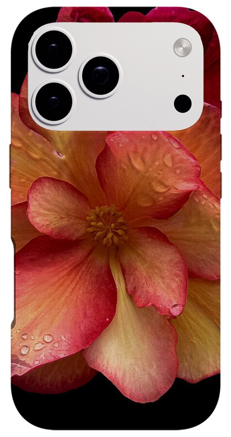 Dew-Kissed Blossoms on Black Background - Phone Case