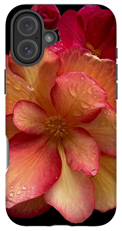 Dew-Kissed Blossoms on Black Background - Phone Case