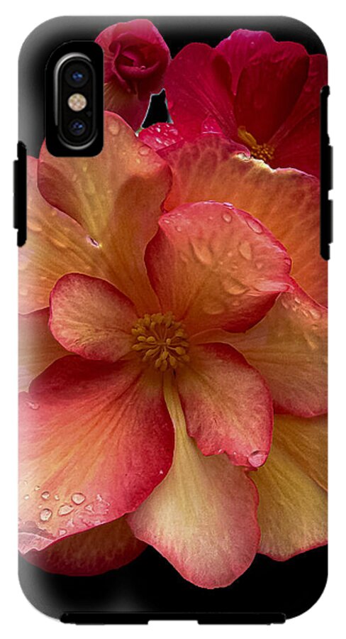 Dew-Kissed Blossoms on Black Background - Phone Case
