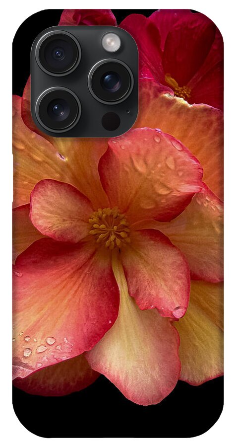 Dew-Kissed Blossoms on Black Background - Phone Case