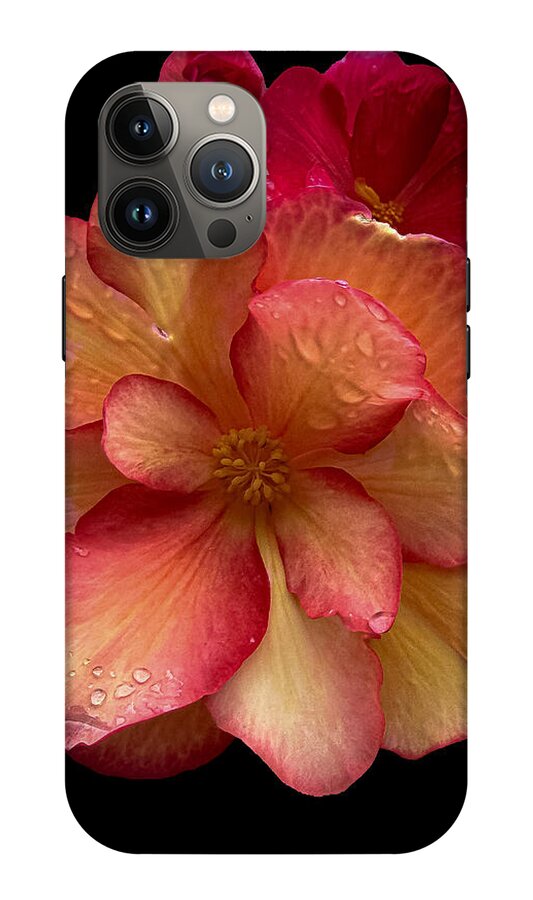 Dew-Kissed Blossoms on Black Background - Phone Case