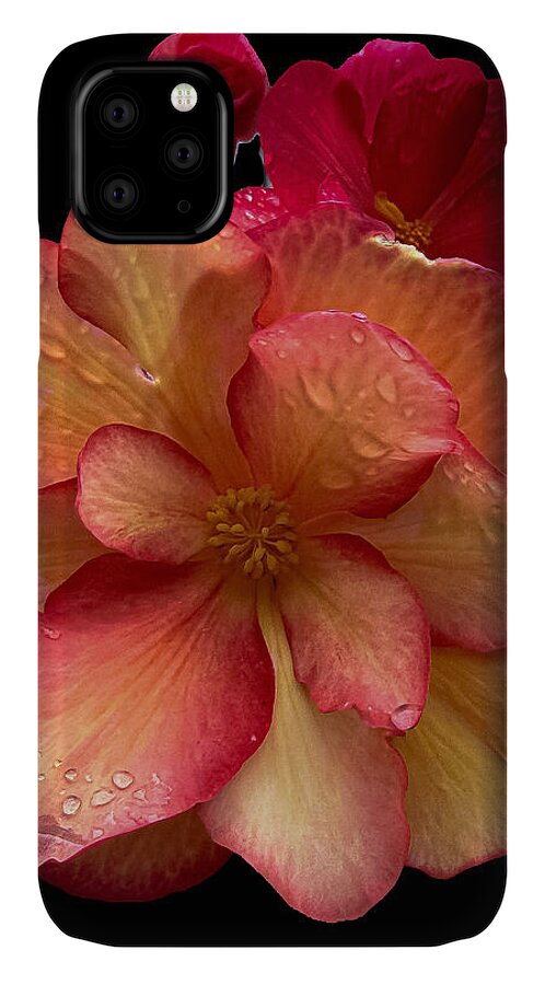 Dew-Kissed Blossoms on Black Background - Phone Case