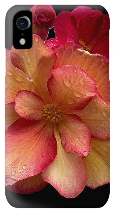 Dew-Kissed Blossoms on Black Background - Phone Case