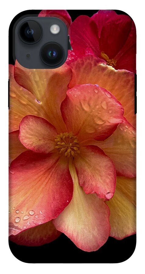 Dew-Kissed Blossoms on Black Background - Phone Case
