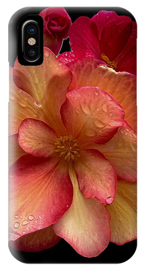 Dew-Kissed Blossoms on Black Background - Phone Case