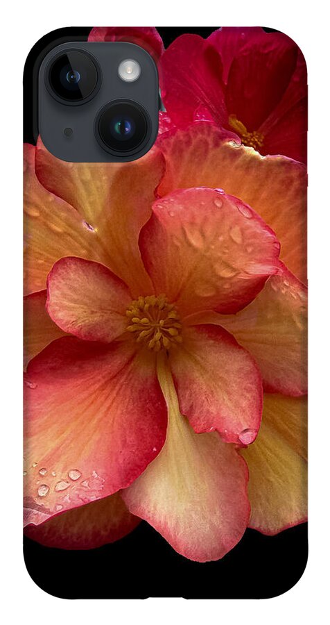Dew-Kissed Blossoms on Black Background - Phone Case