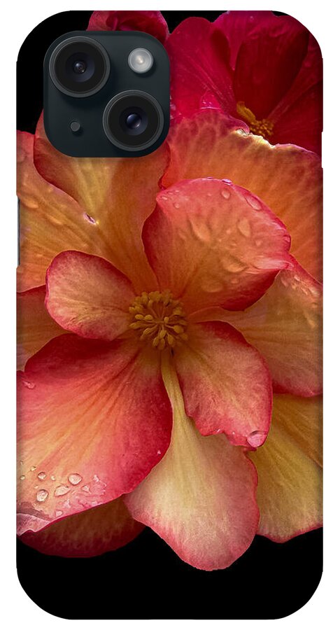 Dew-Kissed Blossoms on Black Background - Phone Case