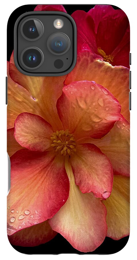 Dew-Kissed Blossoms on Black Background - Phone Case