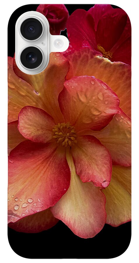 Dew-Kissed Blossoms on Black Background - Phone Case
