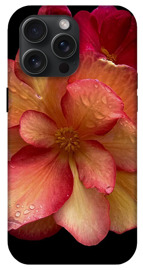 Dew-Kissed Blossoms on Black Background - Phone Case