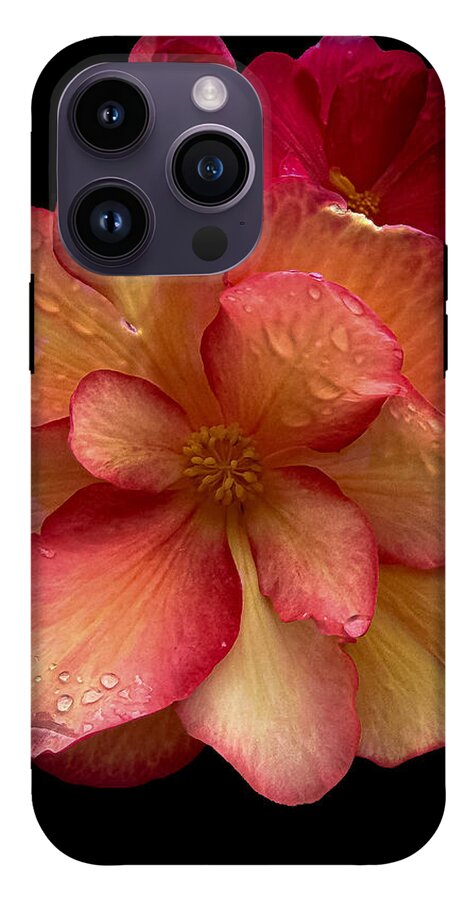 Dew-Kissed Blossoms on Black Background - Phone Case