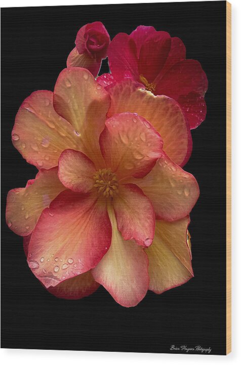Dew-Kissed Blossoms on Black Background - Wood Print