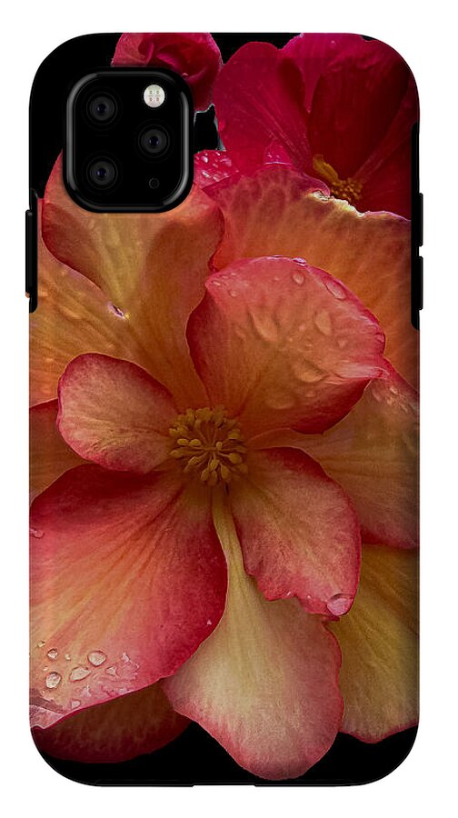 Dew-Kissed Blossoms on Black Background - Phone Case