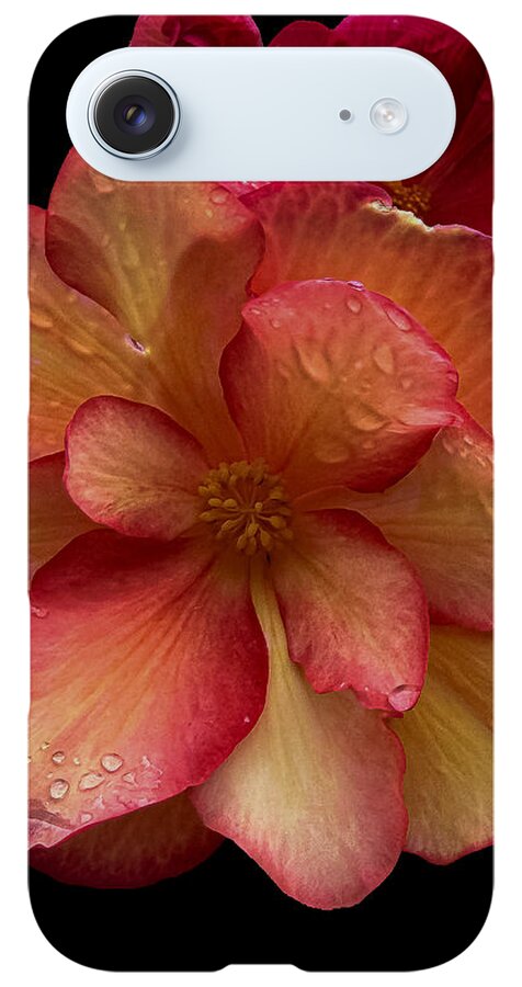 Dew-Kissed Blossoms on Black Background - Phone Case