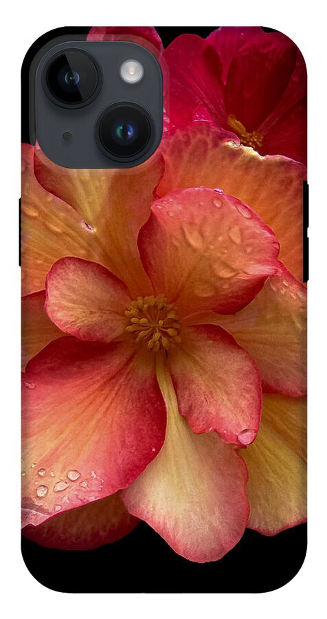Dew-Kissed Blossoms on Black Background - Phone Case