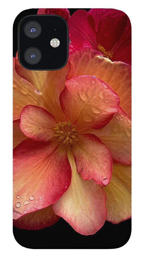 Dew-Kissed Blossoms on Black Background - Phone Case