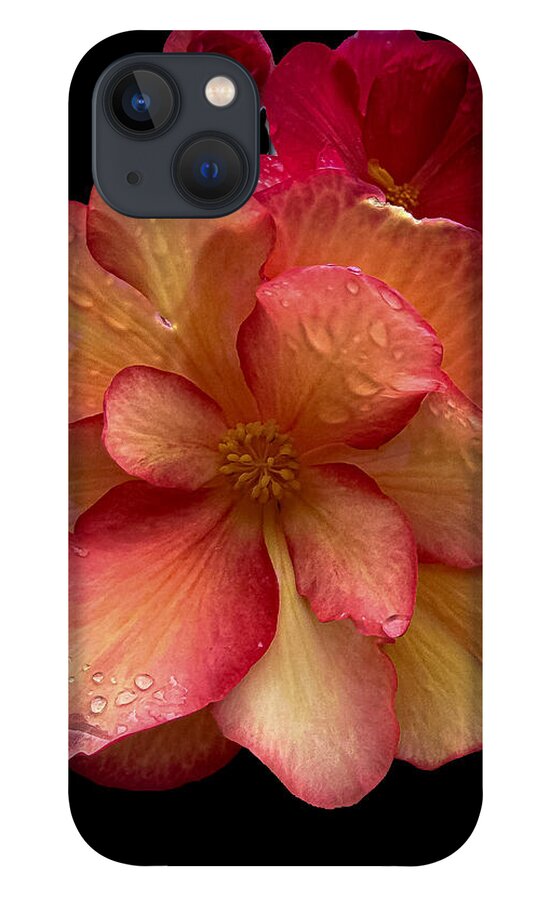 Dew-Kissed Blossoms on Black Background - Phone Case