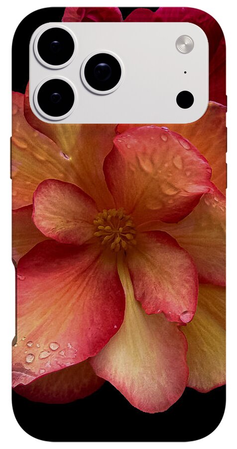 Dew-Kissed Blossoms on Black Background - Phone Case