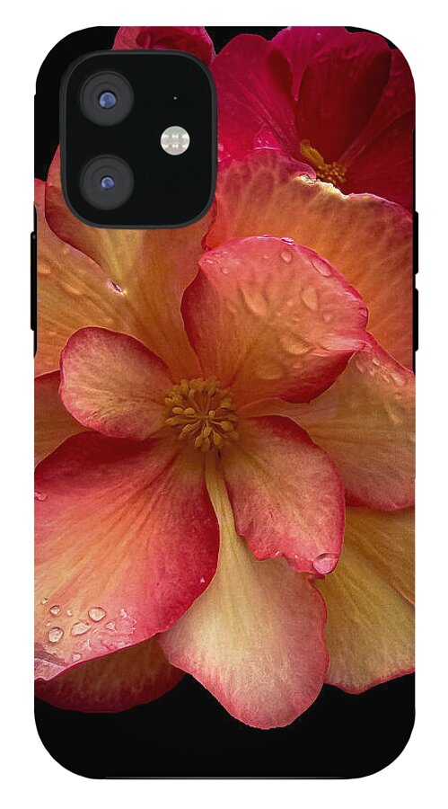 Dew-Kissed Blossoms on Black Background - Phone Case