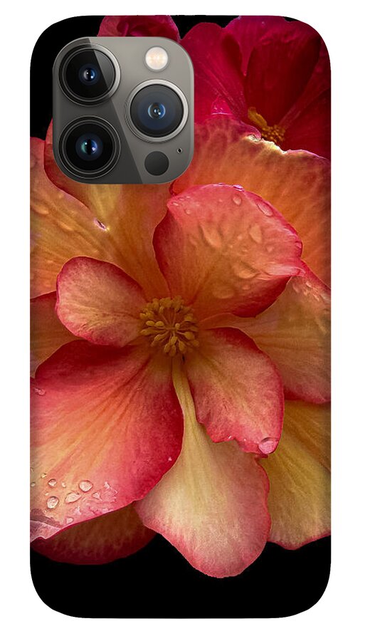 Dew-Kissed Blossoms on Black Background - Phone Case