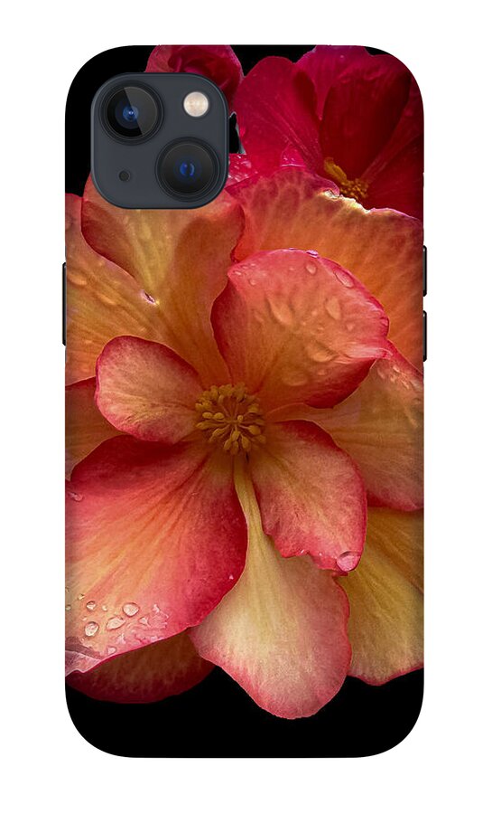 Dew-Kissed Blossoms on Black Background - Phone Case