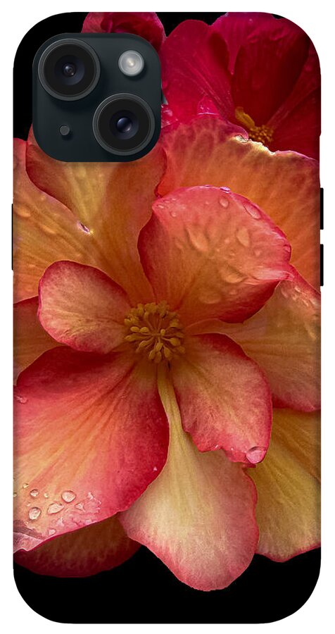 Dew-Kissed Blossoms on Black Background - Phone Case
