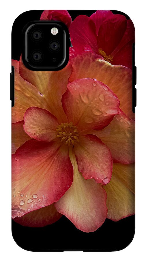 Dew-Kissed Blossoms on Black Background - Phone Case