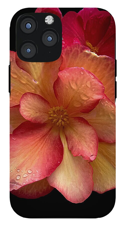Dew-Kissed Blossoms on Black Background - Phone Case