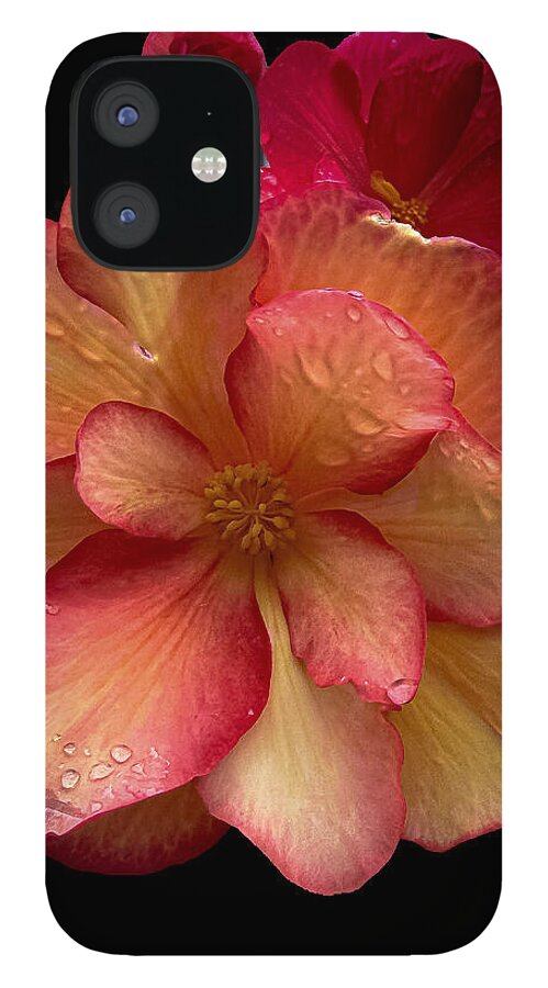 Dew-Kissed Blossoms on Black Background - Phone Case